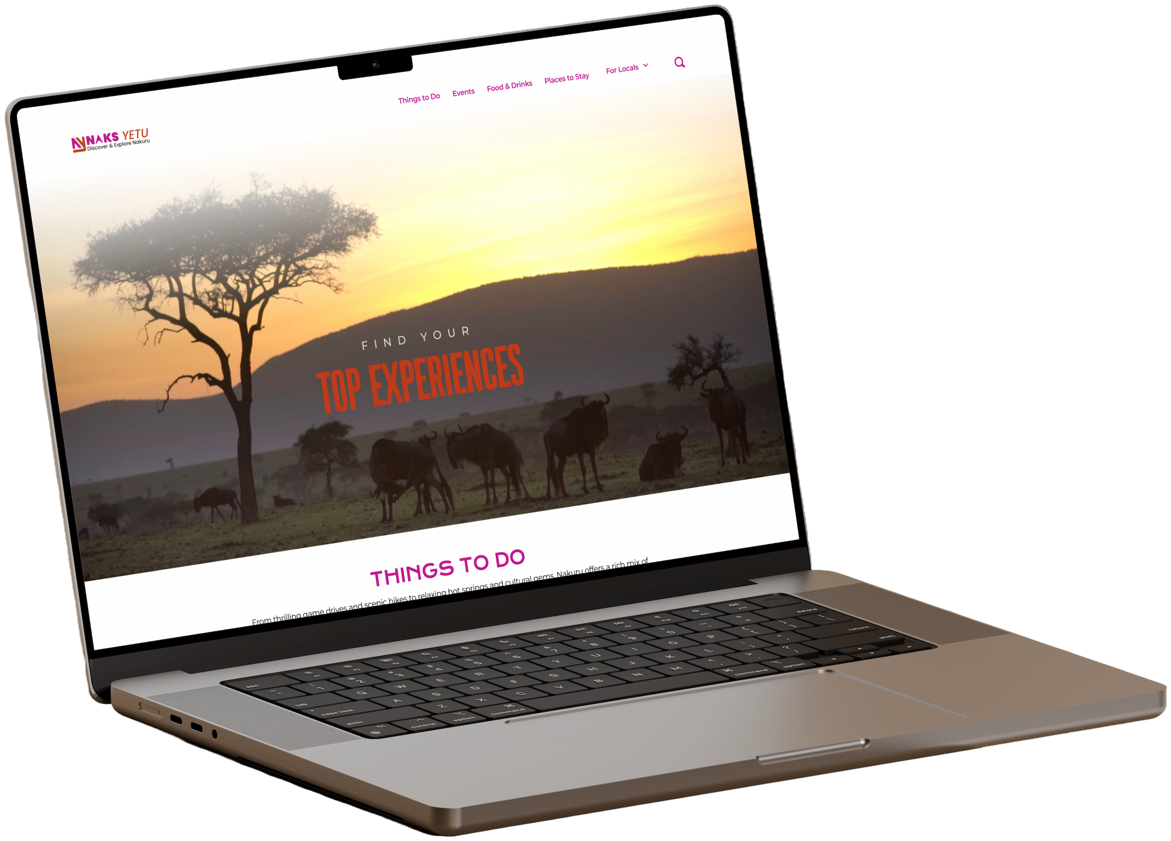 Naks Yetu website on a laptop